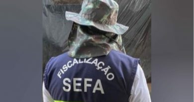 sefa