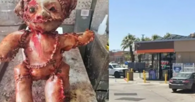 urso com pele humana