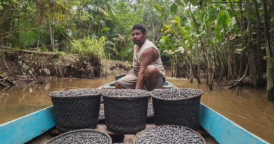 ABDI amplia estratégias para fortalecer bioeconomia da Amazônia após tarifaço