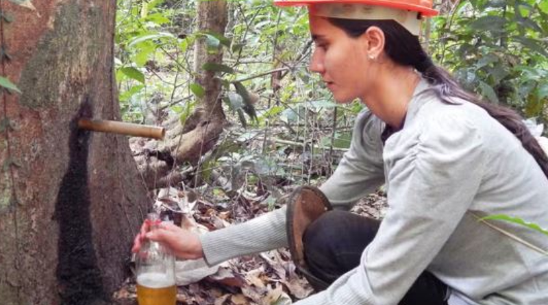 Novo Projeto - 2025-08-05T082026.740