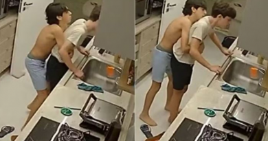 Novo Projeto - 2025-08-10T185828.869