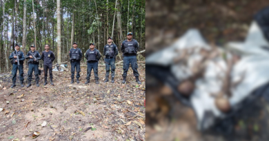 Novo Projeto - 2025-08-11T080945.334