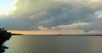 Novo Projeto - 2025-08-14T090822.239