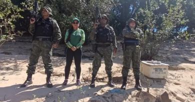 Novo Projeto - 2025-08-30T092104.168