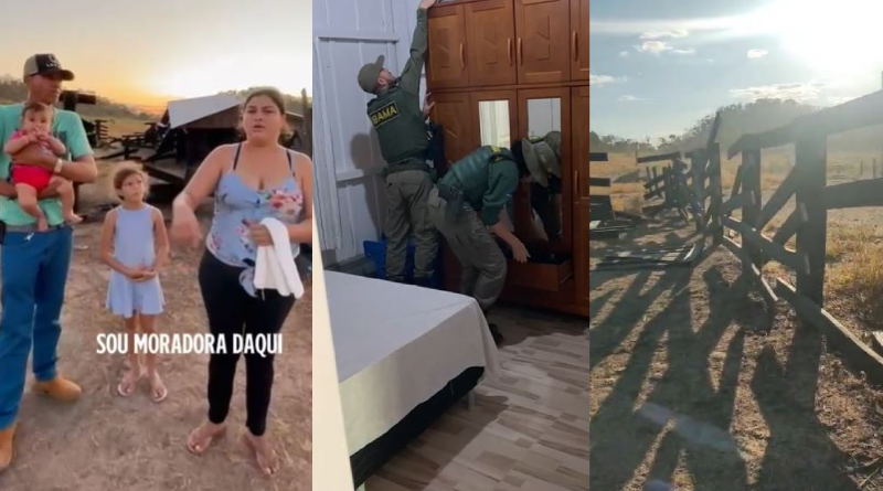 destruição assentamento brasilia