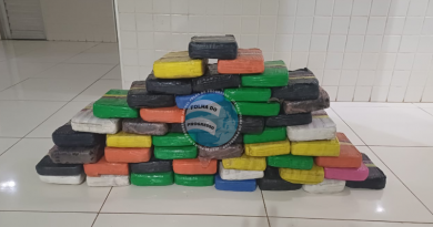 Drogas apreendidas | Foto: Reprodução