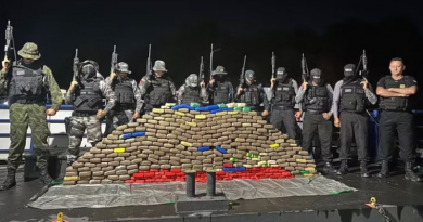 drogas apreendidas PA