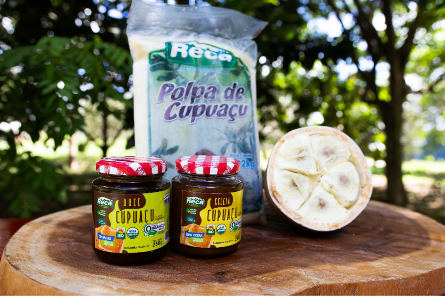 Plantio de cupuaçu gera emprego e renda. (Foto: Divulgação)