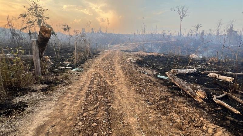 Fazenda onde ocorreu o acidente (Foto>Reprodução)