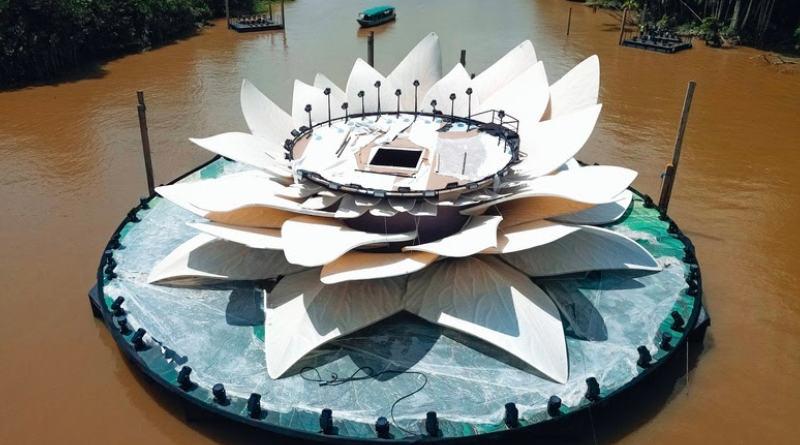 Amazônia Live - Hoje e Sempre_ Divulgação