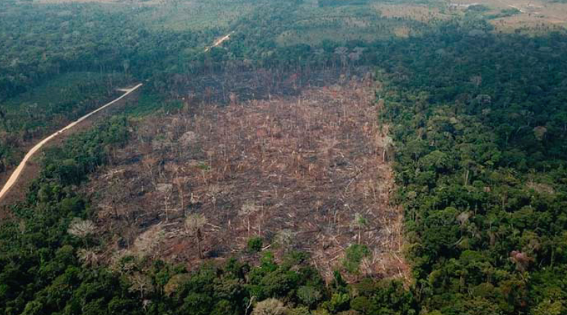 Desmatamento-amazonia