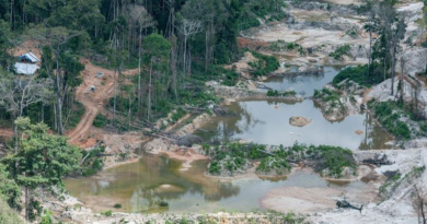 O município de Itaituba tem sofrido com desmatamento e garimpo ilegal nos últimos anos - Foto_ Vinícius Mendonça_Ibama