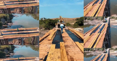 Ponte do rio jamanxim em NP