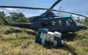 Equipes da PF recolheram a maconha do tipo skunk encontrada dentro do avião lançado na represa pelo piloto. — Foto: Divulgação/FAB