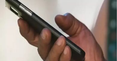 celular