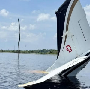 Equipes da PF recolheram a maconha do tipo skunk encontrada dentro do avião lançado na represa pelo piloto. — Foto: Divulgação/FAB