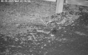 Fotos_-Norte-Energia