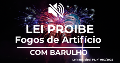 lei proibi fogos de artificio