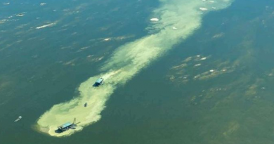 raga próxima aos limites da Terra Indígena Sawré Muybu, em julho de 2025. Foto_ Greenpeace.