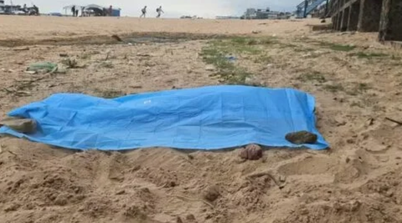 Novo Projeto - 2025-10-22T131513.233