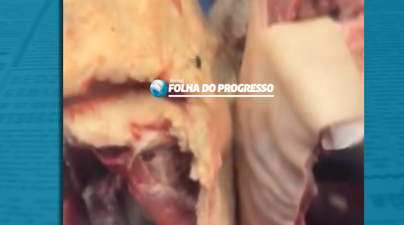 Novo Projeto - 2025-10-22T181738.828