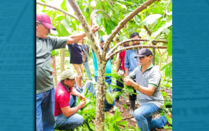 Novo Projeto - 2025-10-23T134936.700