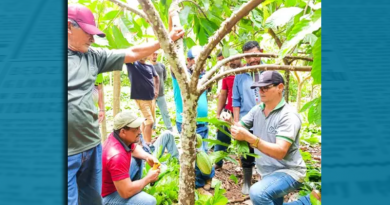 Novo Projeto - 2025-10-23T134936.700