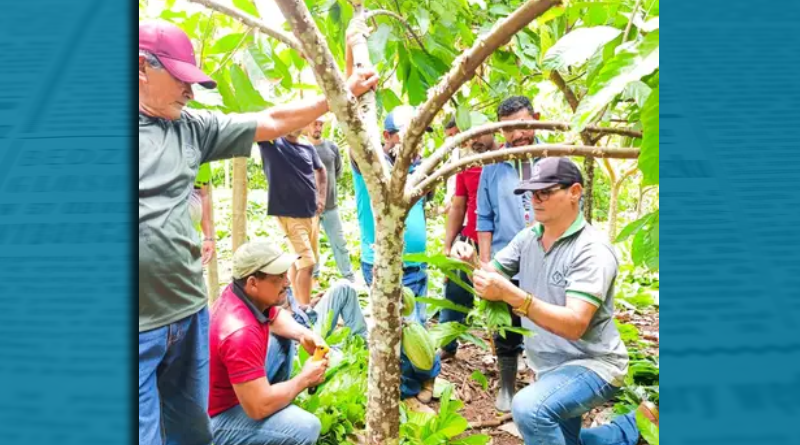 Novo Projeto - 2025-10-23T134936.700