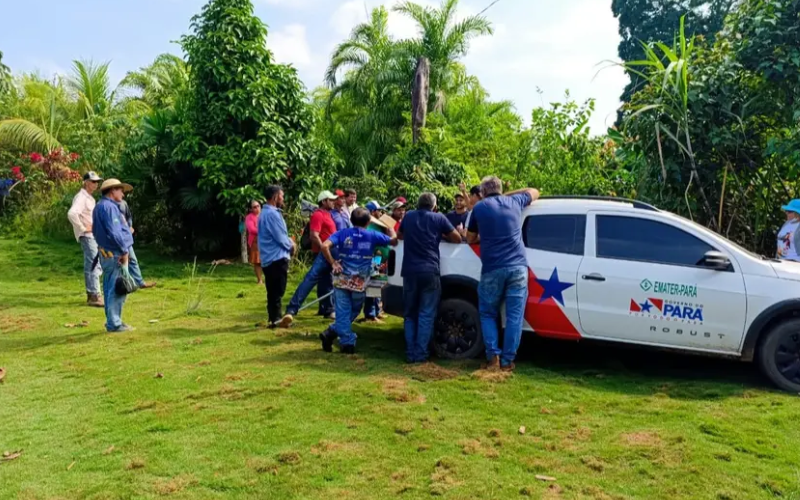 Novo Projeto - 2025-10-23T135018.269