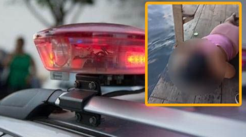 Novo Projeto - 2025-10-27T170658.162