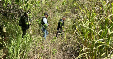 Novo Projeto - 2025-10-28T111641.255