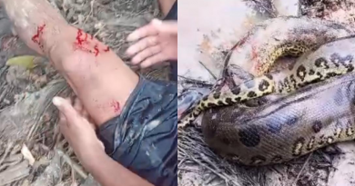 Novo Projeto - 2025-10-29T155947.002