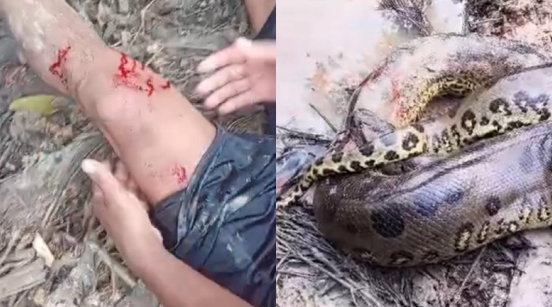 Novo Projeto - 2025-10-29T155947.002