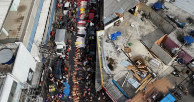 Novo Projeto - 2025-10-29T171259.980