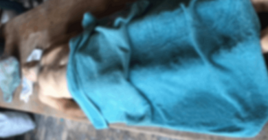 Novo Projeto - 2025-10-31T082950.214