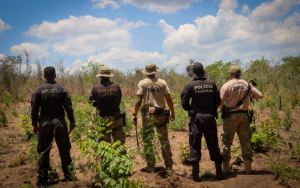 Foto: Divulgação/PF