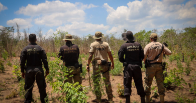 Foto: Divulgação/PF