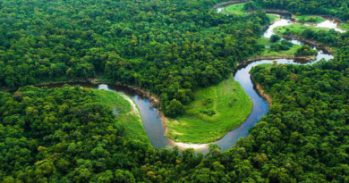 amazonia