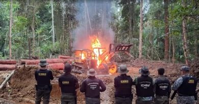 icmbio trairao madeira