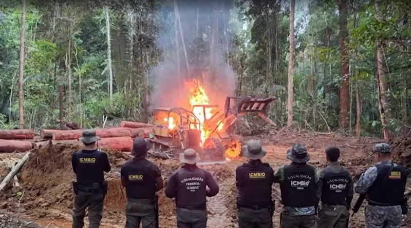 icmbio trairao madeira