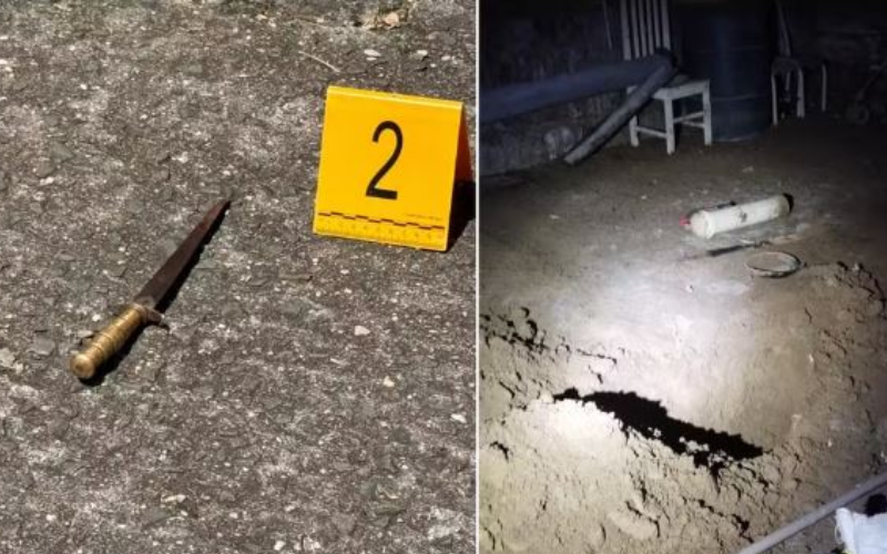 Arma branca e buraco encontrados no terreno da casa onde mãe e filha foram mortas em Criciúma — Foto Polícia MilitarDivulgação