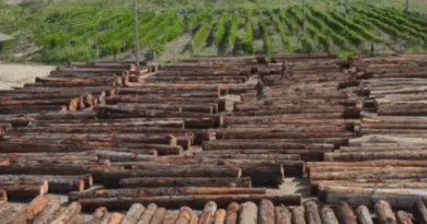 Novo Projeto - 2025-11-05T152343.601