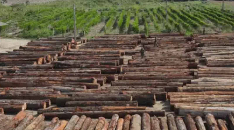 Novo Projeto - 2025-11-05T152343.601