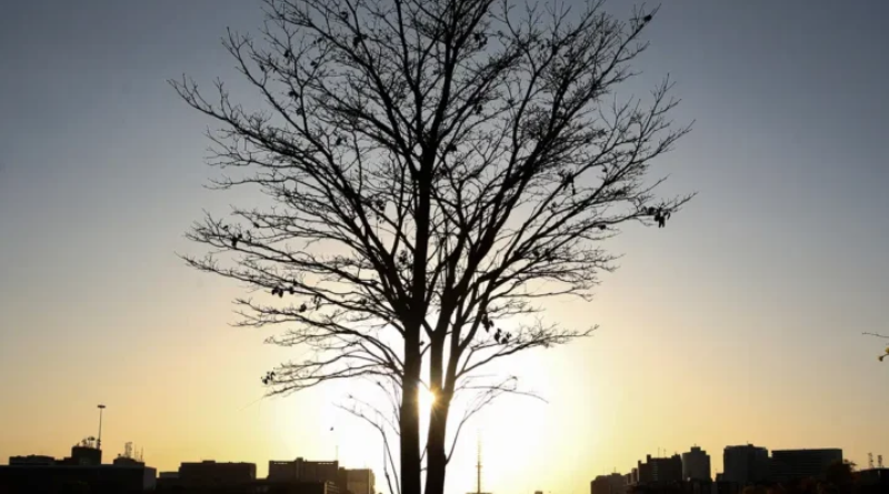 Novo Projeto - 2025-11-12T152007.388