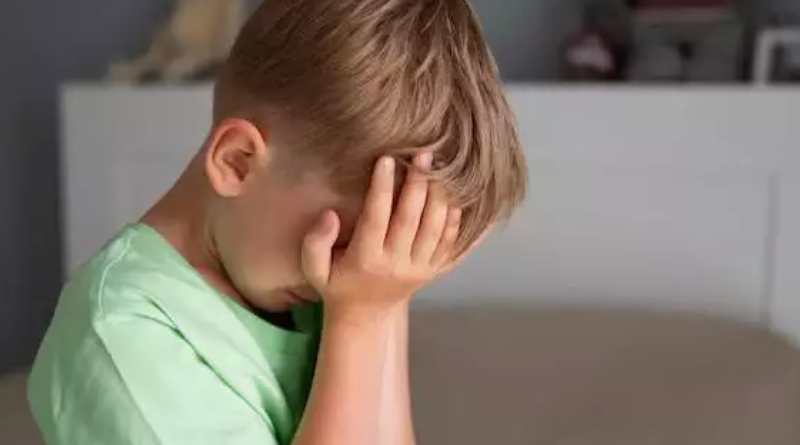 Novo Projeto - 2025-11-14T152828.254