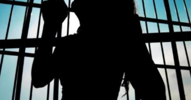 Novo Projeto - 2025-11-14T155257.028