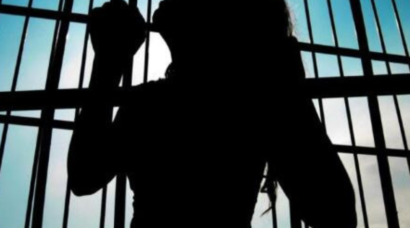 Novo Projeto - 2025-11-14T155257.028