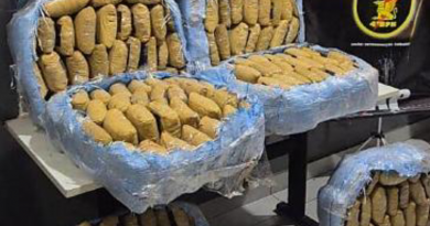 Novo Projeto - 2025-11-14T161229.722