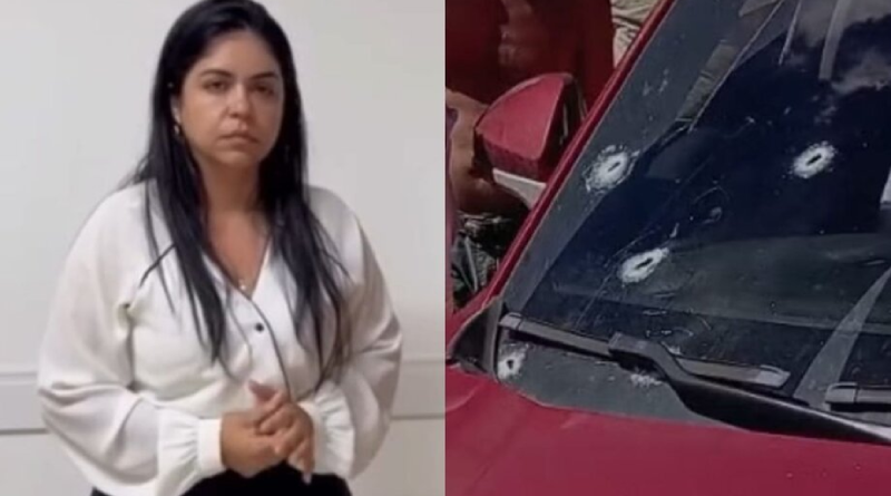 Novo Projeto - 2025-11-18T091015.677