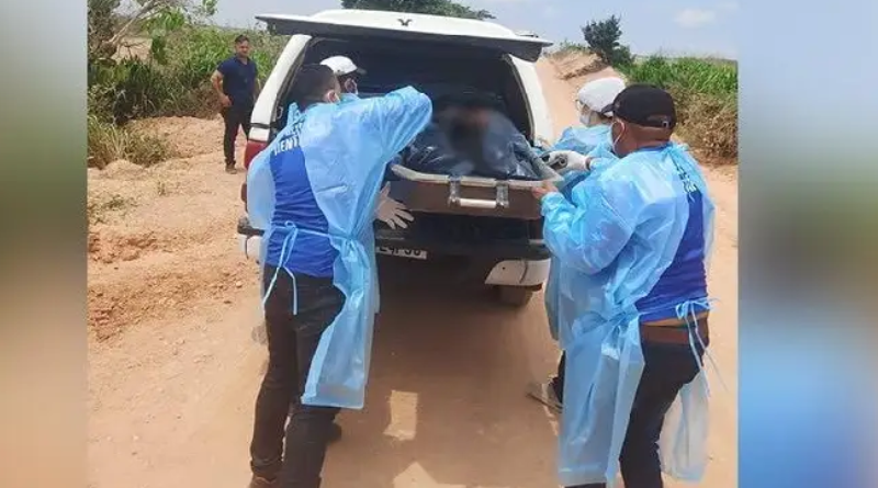 Novo Projeto - 2025-11-18T110446.422